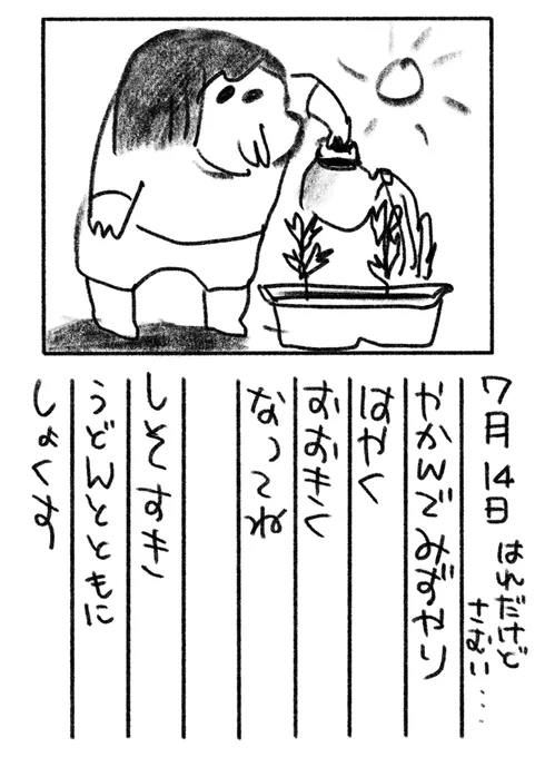13日目 シソは夏の間食卓を少し豪華にしてくれるのですきです
#絵日記 