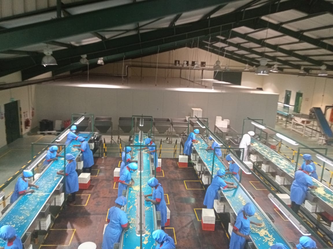 Kakuzi Plc tweet media
