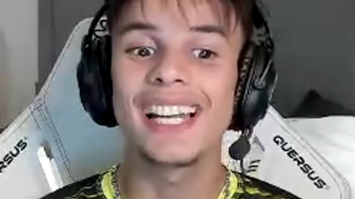 GetVidBot tweet media