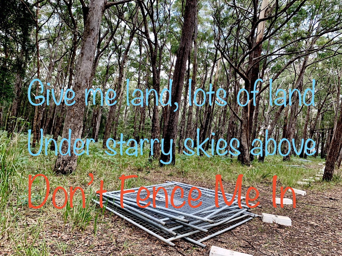 ManyanaMatters's tweet photo. Don’t Fence Me In-1
Mixed Media and 16mm socket 
Artist-Anon https://t.co/pa9AnvkALz