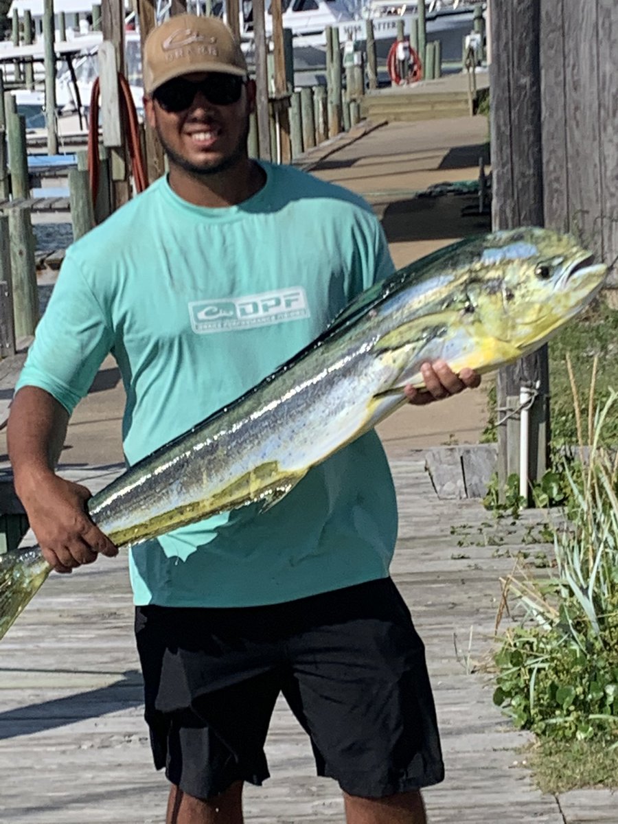 fullhouse40's tweet photo. Great day of off shore fishing out of Hatteras this past Sunday!  32 dolphin and 1 sail fish.  Lots of fun and good memories.  Citation with a 45 pound bull dolphin too! https://t.co/cmQZWyewnW