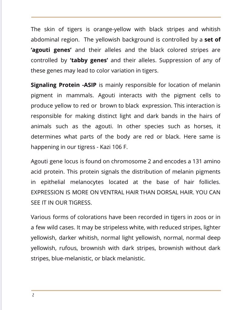 Kaziranga National Park & Tiger Reserve tweet media