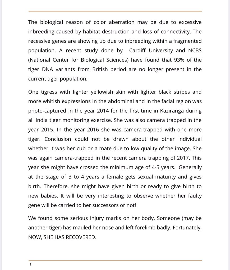 Kaziranga National Park & Tiger Reserve tweet media