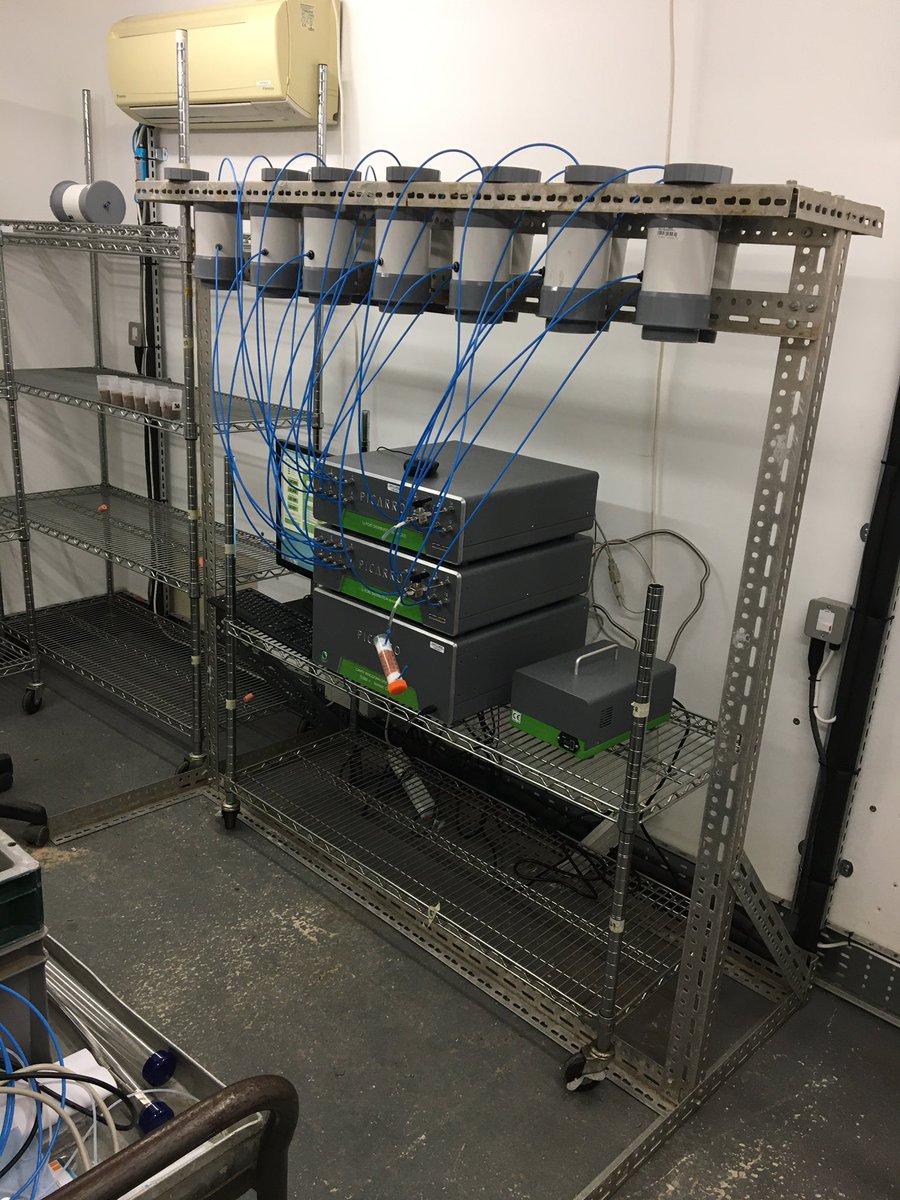 SoilandGas's tweet image. So good to hear the hum of the pump and the sweet sound of valve changes again! #BackInTheLab #Soil #Isotopes