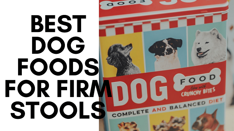 JugDogCo's tweet photo. Loose stools in dogs is a sign that they're struggling to digest their food properly and this can be because of a lack of fibre, allergies to certain ingredients or an underlying condition...or all three. https://t.co/u1vPoEUOot https://t.co/reT7HRpR66