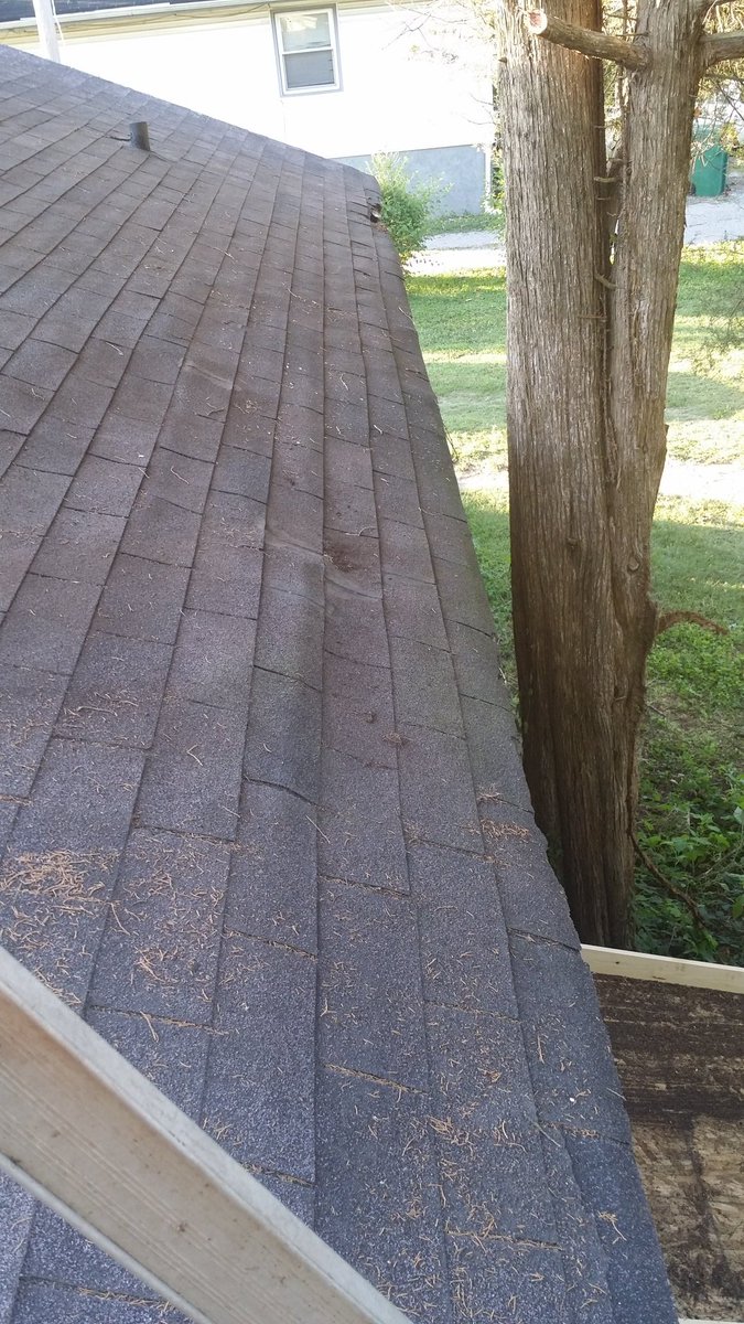 Today's rooftop view and an update to Doc's tree triming yesterday.The tree is no longer in a close relationship with the house.Beneath the braches we found a...bulge?We'll know in a few days what is under the bulge.