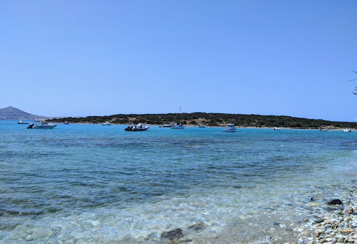 LevintheMed's tweet photo. today's #SCIPscape: Oikonómou island in the bay of Naousa, #Paros ⛵
Don't be fooled by the pretty exterior + easy approach - this island was our thorniest yet, with some very tough interior terrain. Relieved to be done with survey here. Thank you, next!
#SCIP2020 @NorwInst https://t.co/7oSAy1mqfF