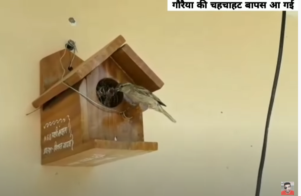 SaveBirdsOrgan1's tweet photo. Save Gorriya before its to late.
Help and Donate the Organization. https://t.co/yD6rRKXWx1