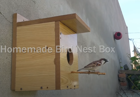 SaveBirdsOrgan1's tweet photo. Save Gorriya before its to late.
Help and Donate the Organization. https://t.co/yD6rRKXWx1