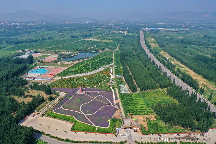 XinhuaChinese's tweet photo. 河北省迁安市亚滦湾农业公园原是滦河故道沙荒地，2014年以来，当地引进项目对这里进行综合改造。经过多年建设，亚滦湾农业公园成为面积1700余亩，集农副产品生产、果蔬采摘、旅游观光、餐饮住宿、运动体验为一体的现代农业示范园，在推动农旅融合的同时，带动周边村庄农民实现增收。 https://t.co/8QNDAAF7I8