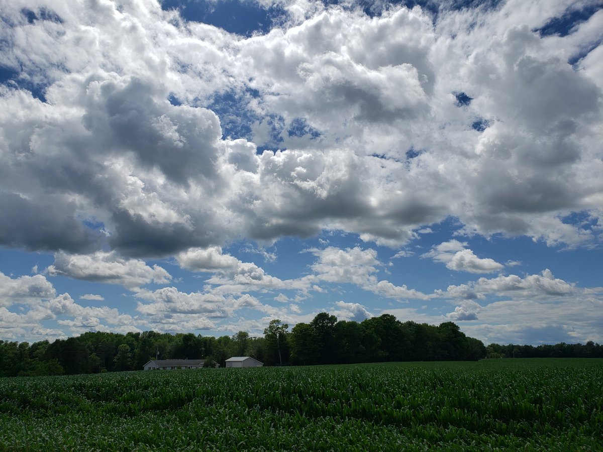 CaseyBuhr's tweet photo. Willow Drive
Ahnapee, WI
The Evening Before Last
#AlgomaWI #ahnapee #algomawisconsin #algoma https://t.co/2m9SZ8CKaR