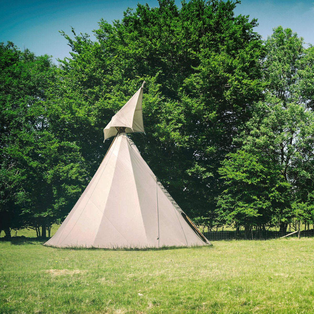 greentraveller's tweet photo. This looks great: music, fresh air and fields - 12 days of pop-up camping in the wildflower meadows of @FernhillFarm1 with a family-friendly festival vibe @MendipHillsAONB #Somerset, 13-24 Aug https://t.co/hCRoOz8oC8 https://t.co/eavJmDLjc4