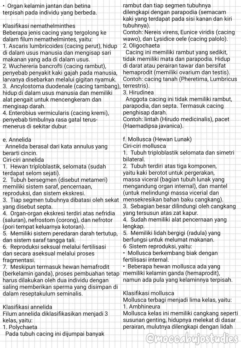 Clear Indonesia On Twitter Belajar Animalia Secara Lebih Lengkap Dengan Catatan Dari Moccabujostudies Ada 7 Halaman Utbk Hewan Animalia Https T Co Oyz8eogqzl Https T Co Ci9ol5yalz