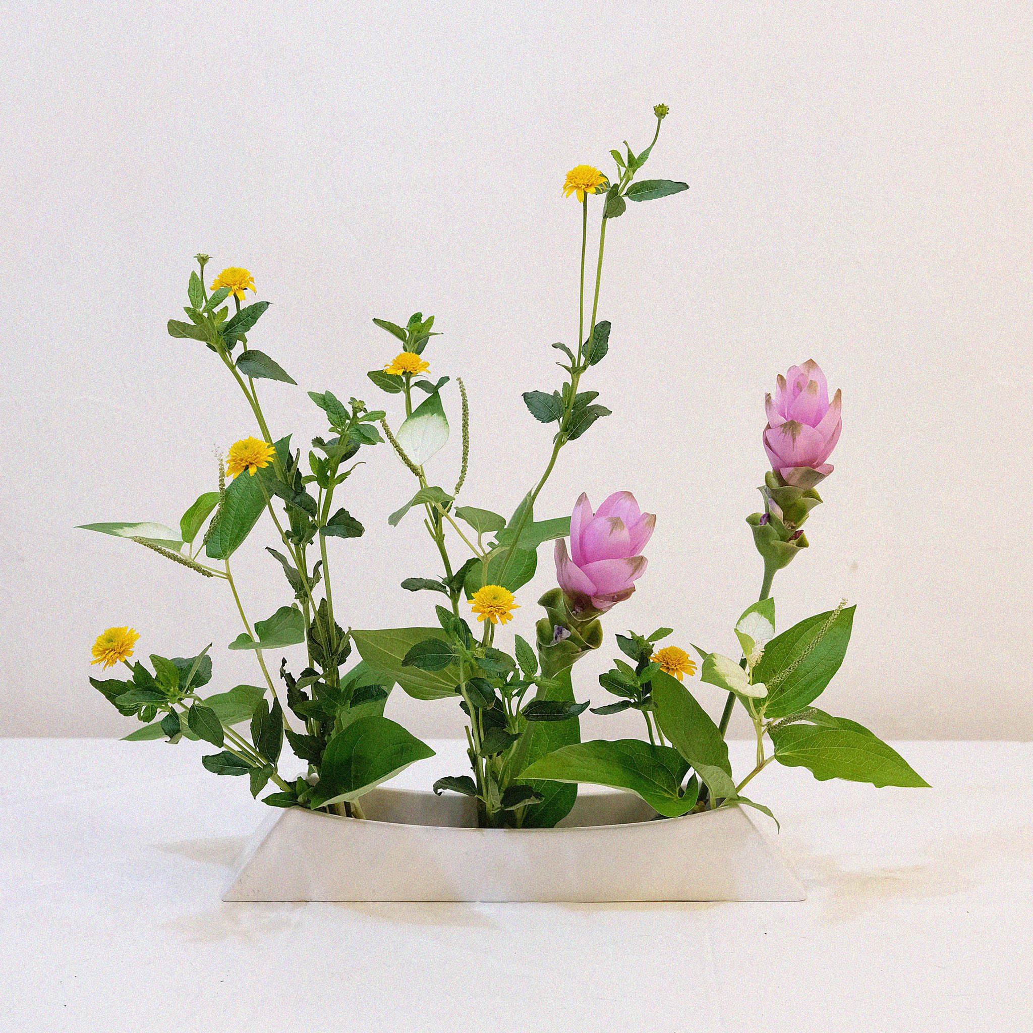 Twitter 上的 いけばな小原流 銀座教室 ならぶかたち 姫ひまわりが夏の訪れを感じさせてくれます 雨が多い梅雨になり カラッと晴れる日が待ち遠しい今日この頃 いけばな 生け花 小原流 クルクマ 姫ひまわり 初夏 半化粧 お稽古 銀座 T Co Twitter 上的 いけばな小原流 銀座教室 ならぶかたち 姫ひまわりが夏の訪れを感じさせてくれます 雨が多い梅雨になり カラッと晴れる日が待ち遠しい今日この頃 いけばな 生け花 小原流 クルクマ 姫ひまわり 初夏 半化粧 お稽古 銀座 T Co