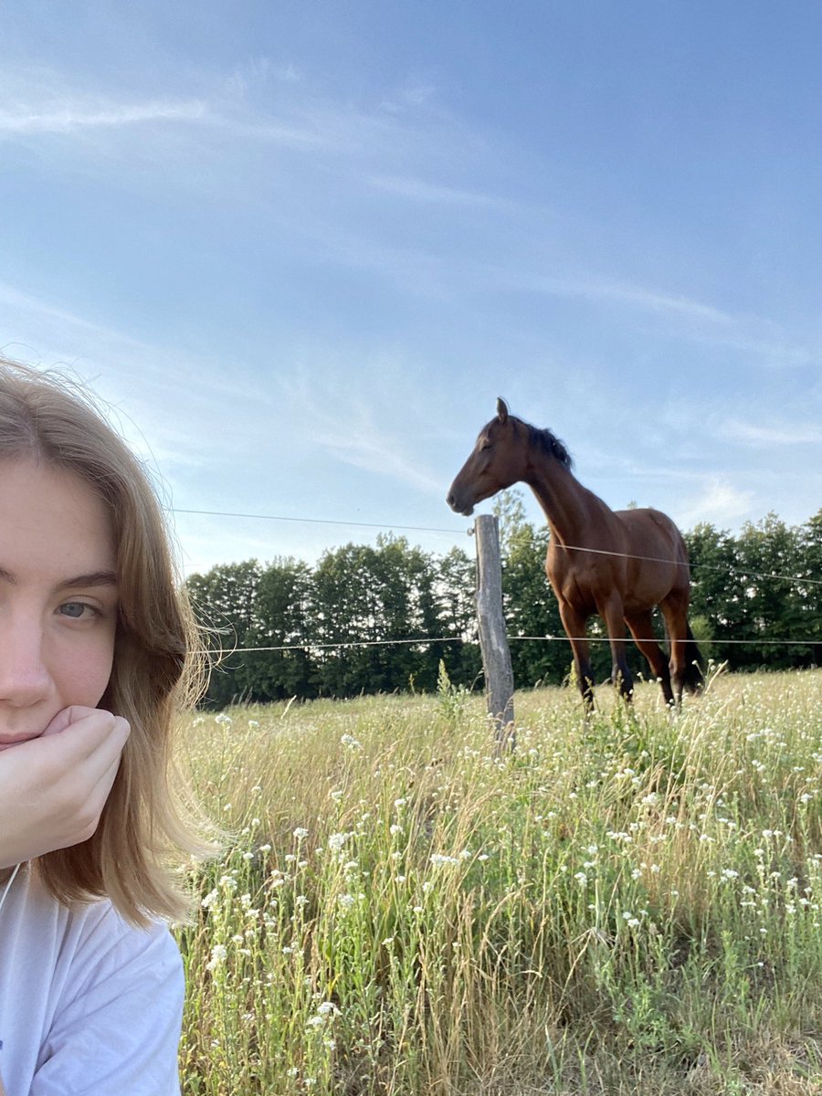 look at this majestic creature. also, there‘s a horse.