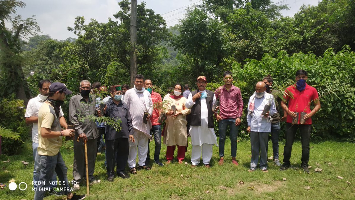 DrRakeshDharwal's tweet photo. आज जोगिंदर नगर ब्लॉक कांग्रेस कमेटी के सभी पदाधिकारीगण और  जोनल लडभडोल के कांग्रेस के कार्यकर्ताओं और यूथ कांग्रेस के कार्यकर्ताओं ने मिलकर लडभडोल  में हिमाचल प्रदेश कांग्रेस कमेटी के अनुसरण में ब्लॉक स्तर का वृक्षारोपण किया।
@KSRathoreINC @INCHimachal @NSUIHimachal @IYCHimachal https://t.co/tXnllLAOBo
