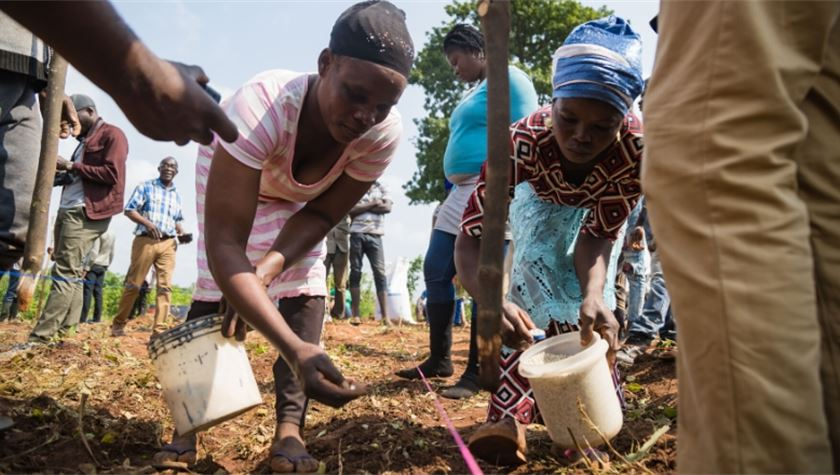 Parlimag's tweet photo. #COVID19: Towards a resilient agriculture model in Africa - OCP Africa is helping African farmers cope during the COVID-19 crisis, explains Colin Mackay.
#SaferAfrica | #FoodSecurity | #Agribooster | #euafricapartnership
➡️https://t.co/ungcxEA1mb https://t.co/0GVQbZbuGl