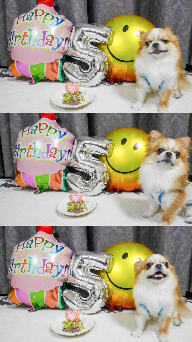 みいたむ Miitam Chan Twitter