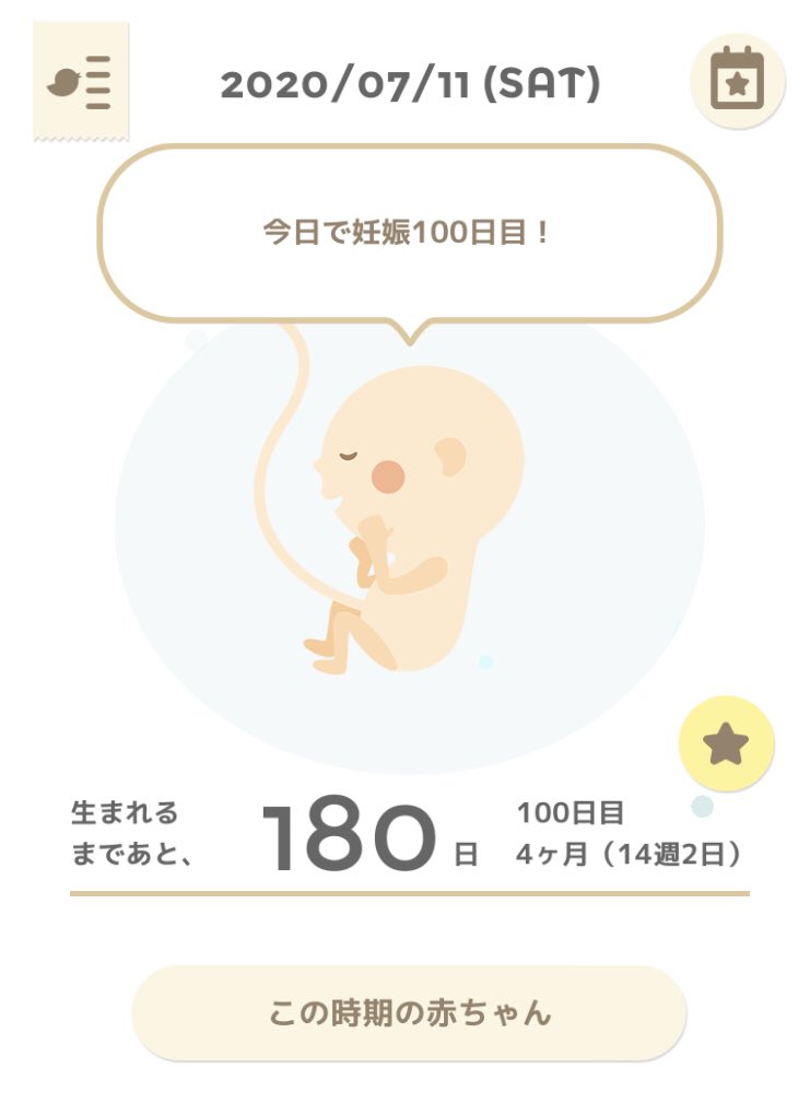 妊娠14週 妊娠14週