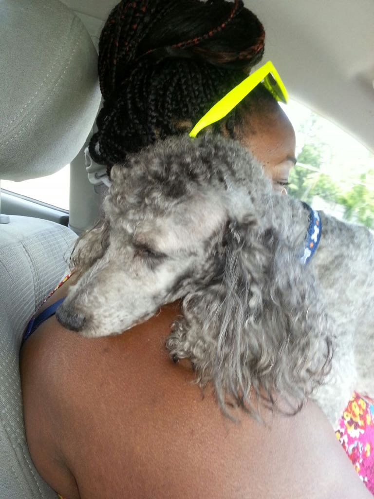 I miss my dog like crazy. Especially on my off days when I’m home alone all day. The quiet can be hard sometimes.