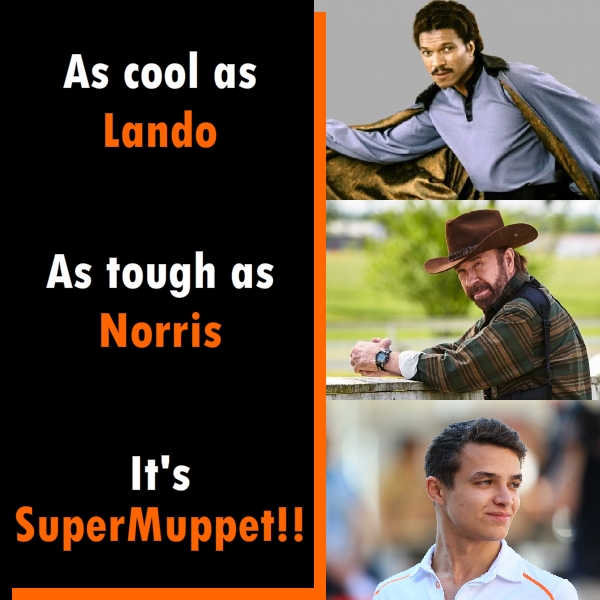 WouterF1's tweet photo. #landonorris #supermuppet #WTF1 @LandoNorris even looks like a cross between the 2 of them ππ https://t.co/GIyrqbOiuC