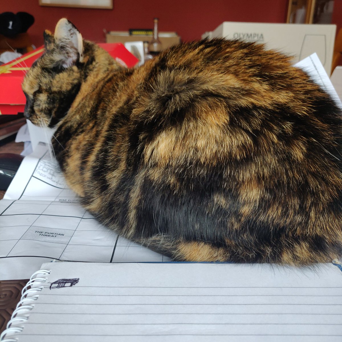 Grimey tweet media