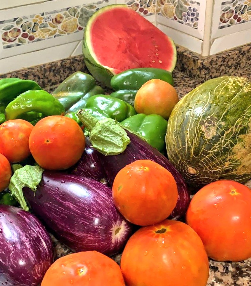 ucvalencia's tweet photo. I en l'estiu res  com consumir productes de proximitat i temporada  @GVAeconomia @GVAagroambient 😀 #Consum #Sostenibilitat #Hàbits #ComsumResponsable 🍉🍅🍎 https://t.co/FrQMIbStUU