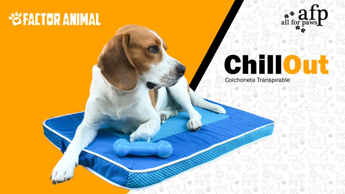 factor_animal's tweet photo. 🤷 ¿CALOR? ¿QUÉ ES ESO?

Es el momento de mantener fresquitas a tus #mascotas y nada mejor que la manta transpirable "Chill Out" de @AllForPawsPet 😁

Refresca su #verano junto a #FactorAnimal👉 https://t.co/em8FucawfI https://t.co/tJxh0VXooA