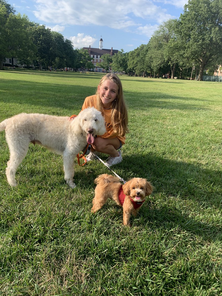 ashleystellon16's tweet photo. I am so excited to announce my verbal commitment to continue my academic and athletic career at the University of Illinois! Thank you to my family, coaches, teammates and friends who helped me get to this point! 🧡💙@IlliniSoccer https://t.co/Tv0i3tVBn2