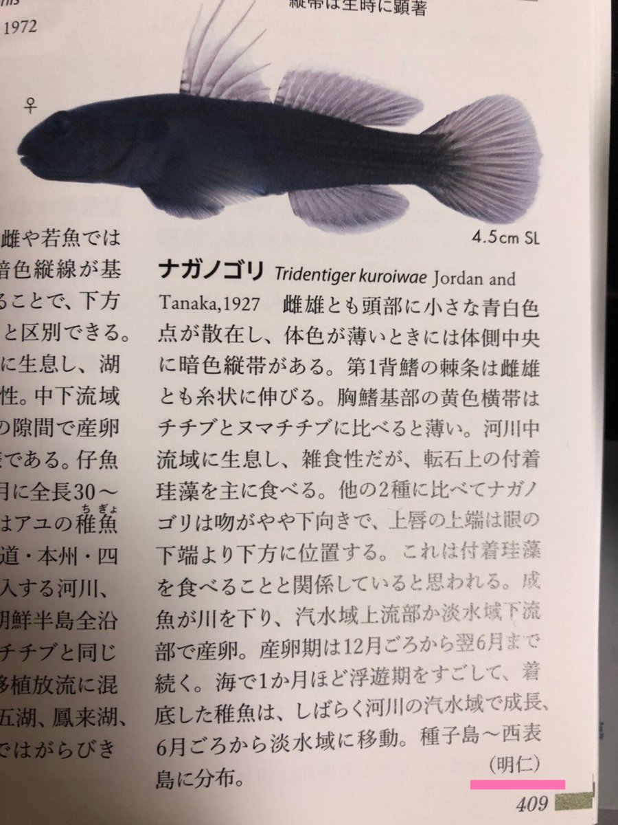 図鑑『日本魚類館』の執筆者にまさかのあの人が居て盛り上がる流れ 