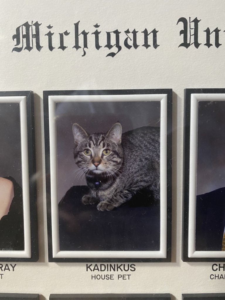 Delta Tau Delta | EMU tweet media
