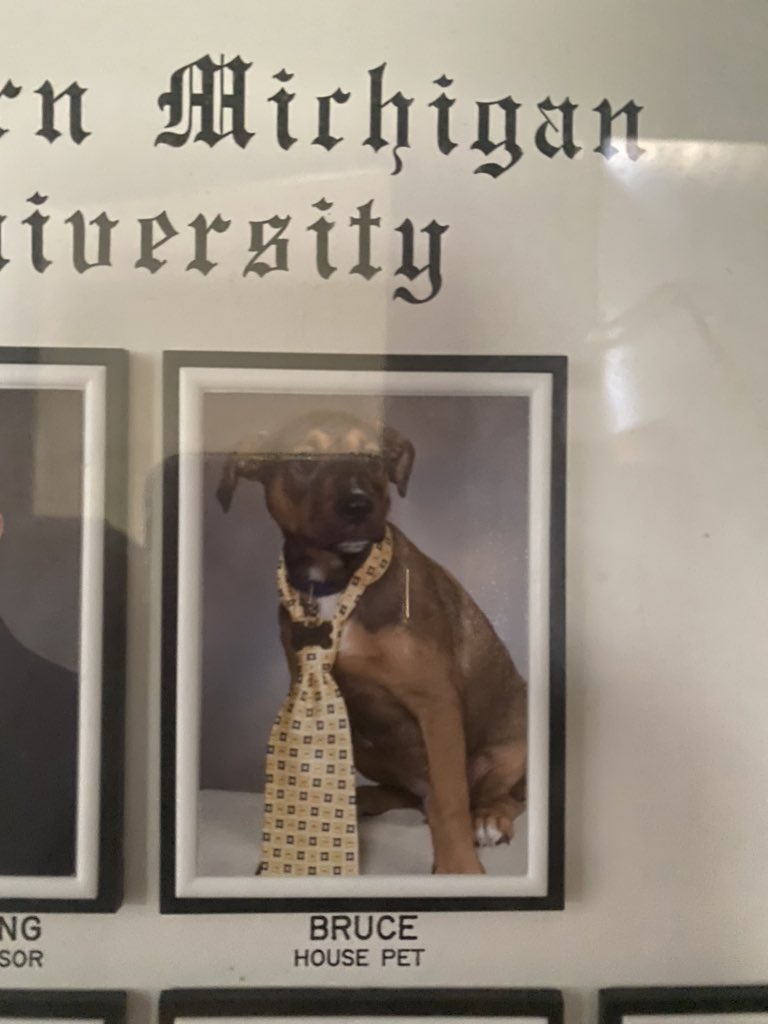 Delta Tau Delta | EMU tweet media