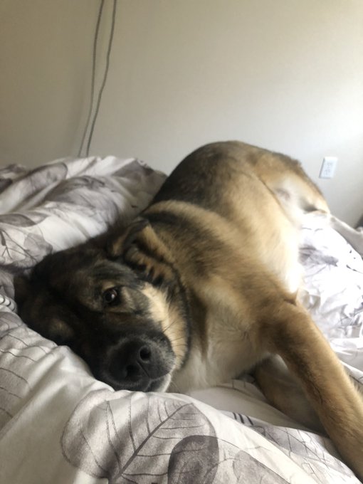 This smoosh makes me smile https://t.co/eNaStP5UD8<a href="/tag/thanku"class="tags"><span>#thanku</span></a><a href="/tag/circusshit"class="tags"><span>#circusshit</span></a>