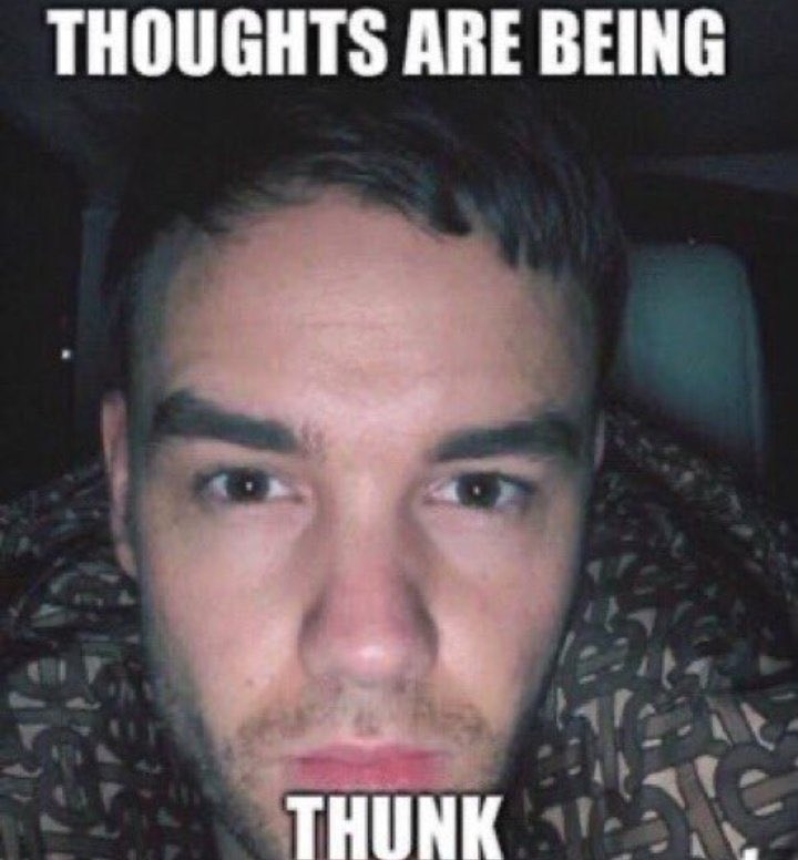 the hilarious memes everyone made, THEY MADE ME LOVE LIAM MORE WHICH I DIDNT THINK WAS POSSIBLE