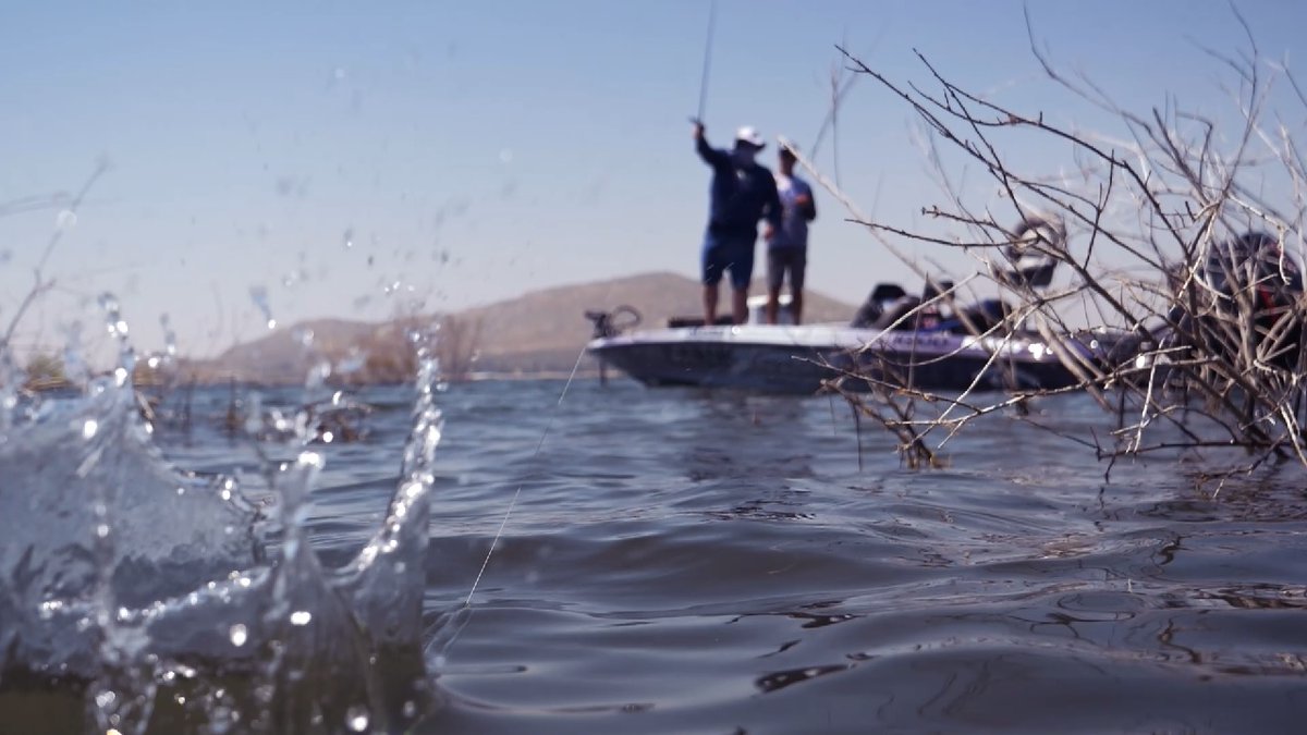 OkumaFishingUSA's tweet photo. Flipping, Pitching, Casting, Twitching, Lobbing, Skipping.
Okuma bass rods have you covered.
#Serrano, #HeliosSX, #EVX, #TCS, #Cerros, #GuideSelect, #SBX, #PsychoStick
Find out more: https://t.co/UFr4D8fcEl
#InspiredFishing
#OkumaFishing
#Okuma #Fishing https://t.co/5BCkf5HQN4