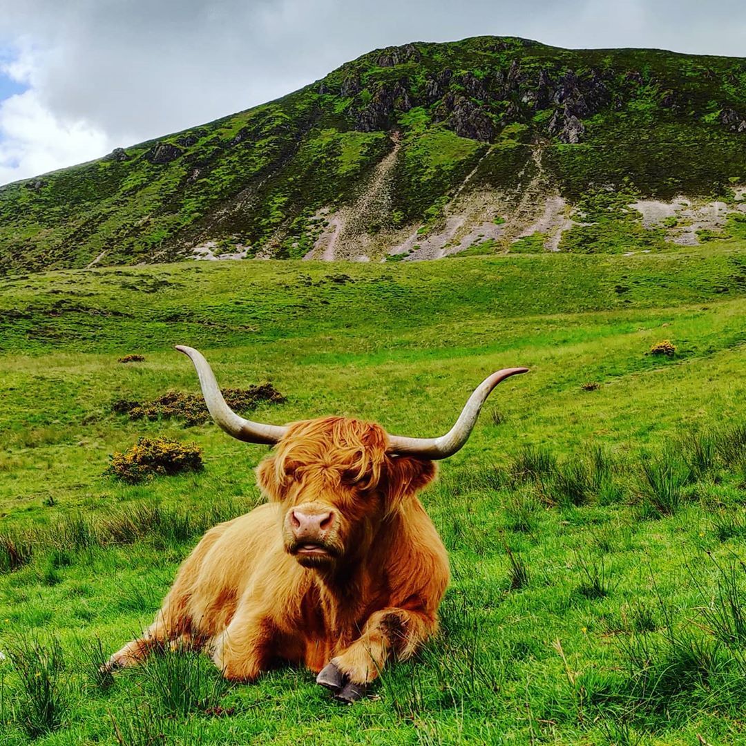 MacBackpackers tweet media