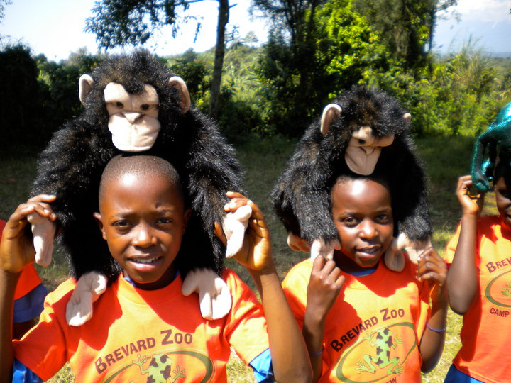 KFSP_Uganda's tweet photo. We encourage Ugandan students to get creative when raising awareness about #chimpanzee protection &amp; conservation. From beautiful artwork to conservation-themed music, dances, and poetry, they help bring attention to the remarkable #chimpanzee. #WorldChimpanzeeDay https://t.co/cGtONESxYe