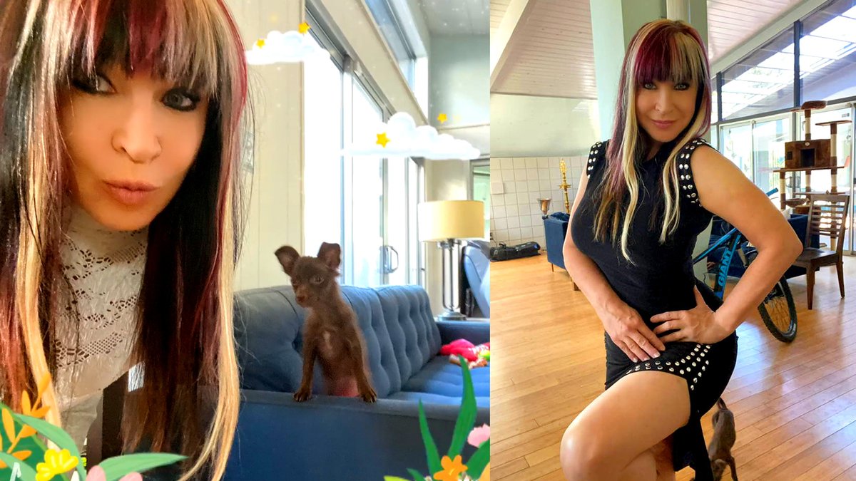 Cynthia rothrock photos