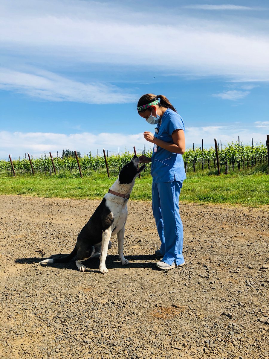 Check out a day in the life of the ¡Salud! team (<a href="/SaludAuction/">¡Salud!</a>) and read more about the organization that is keeping farmworkers safe. 🍷 bit.ly/30lfsMz