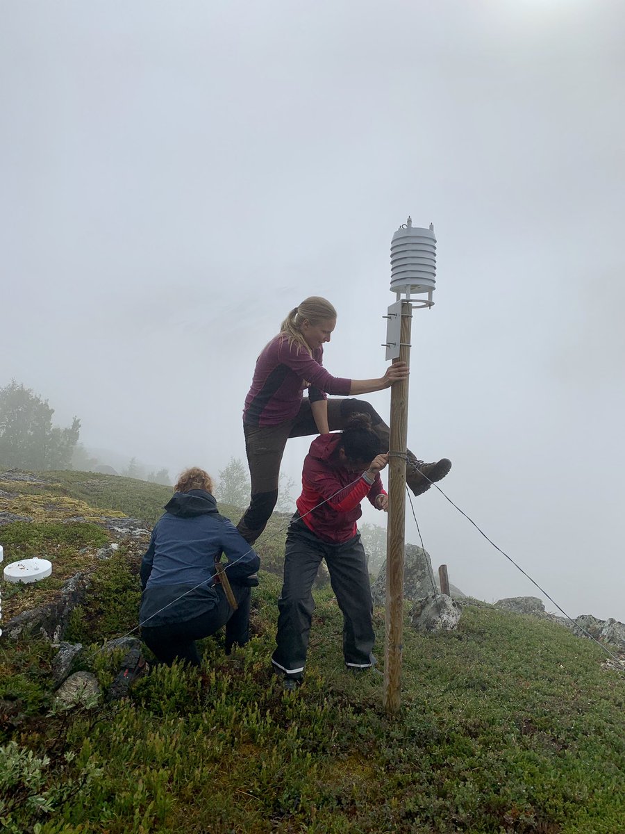 VVandvik's tweet photo. And this, #phdchat, #AcademicTwitter, #PhDlife is why @RagnhildGya needs #TWO #fieldassistants for her #PhD fieldwork! https://t.co/a25wjom7h4