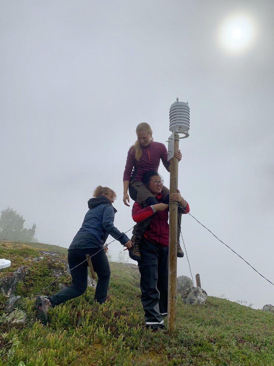 VVandvik's tweet photo. And this, #phdchat, #AcademicTwitter, #PhDlife is why @RagnhildGya needs #TWO #fieldassistants for her #PhD fieldwork! https://t.co/a25wjom7h4