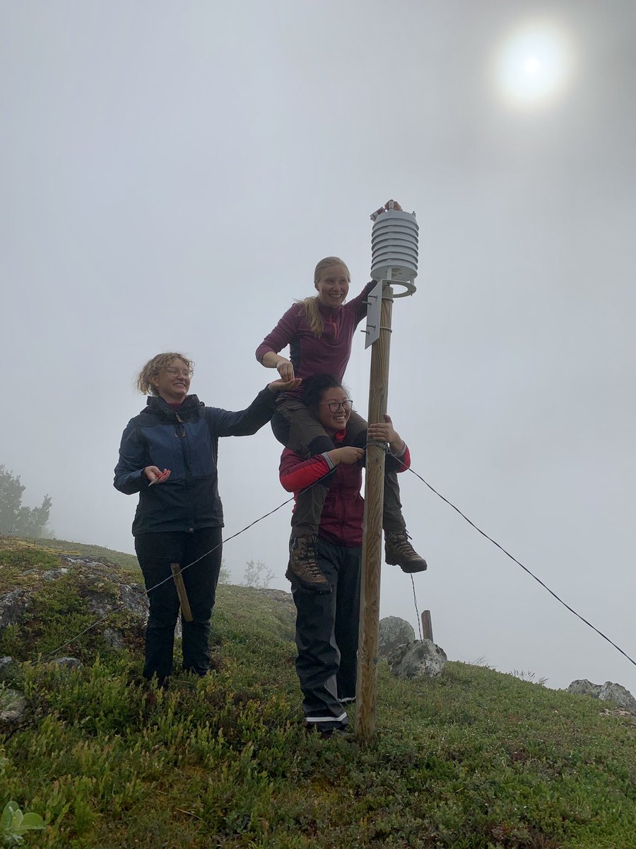 VVandvik's tweet photo. And this, #phdchat, #AcademicTwitter, #PhDlife is why @RagnhildGya needs #TWO #fieldassistants for her #PhD fieldwork! https://t.co/a25wjom7h4
