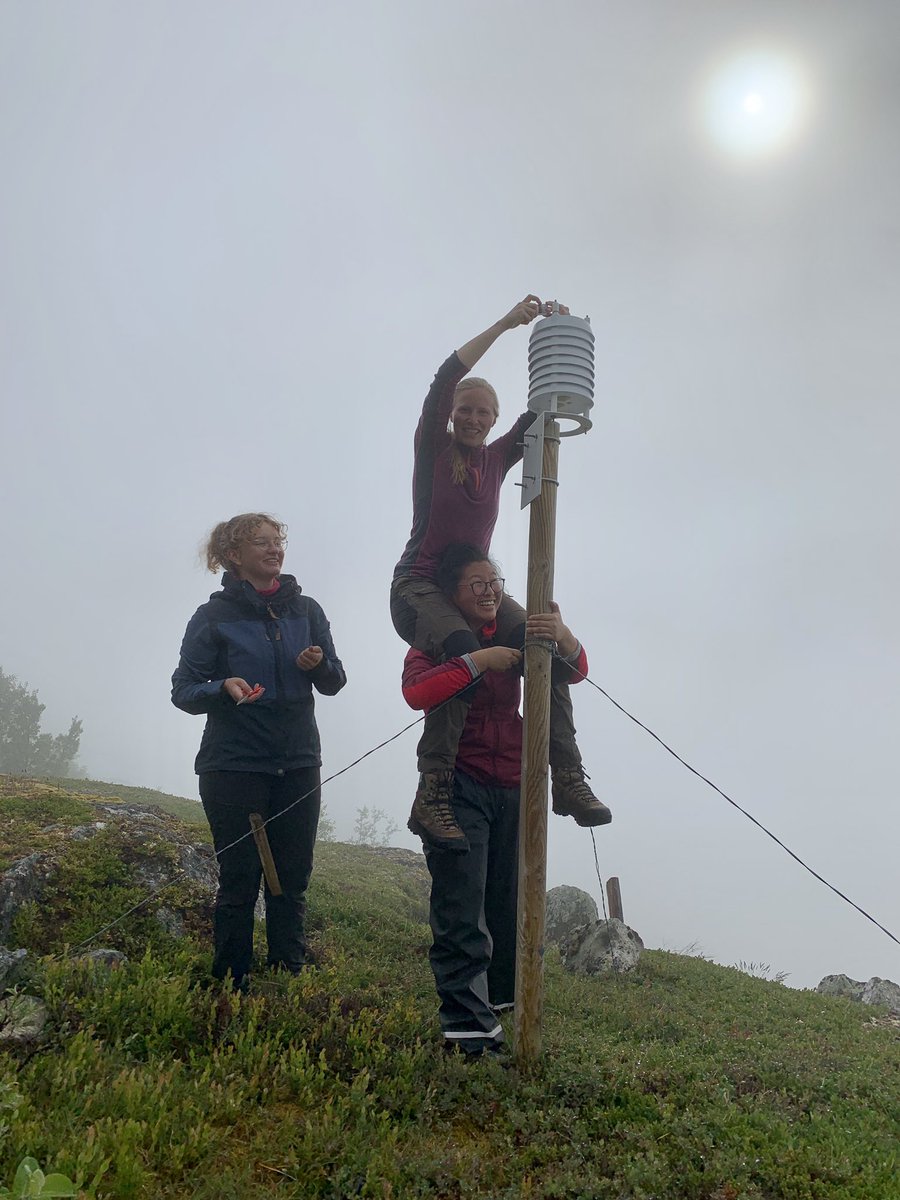 VVandvik's tweet photo. And this, #phdchat, #AcademicTwitter, #PhDlife is why @RagnhildGya needs #TWO #fieldassistants for her #PhD fieldwork! https://t.co/a25wjom7h4