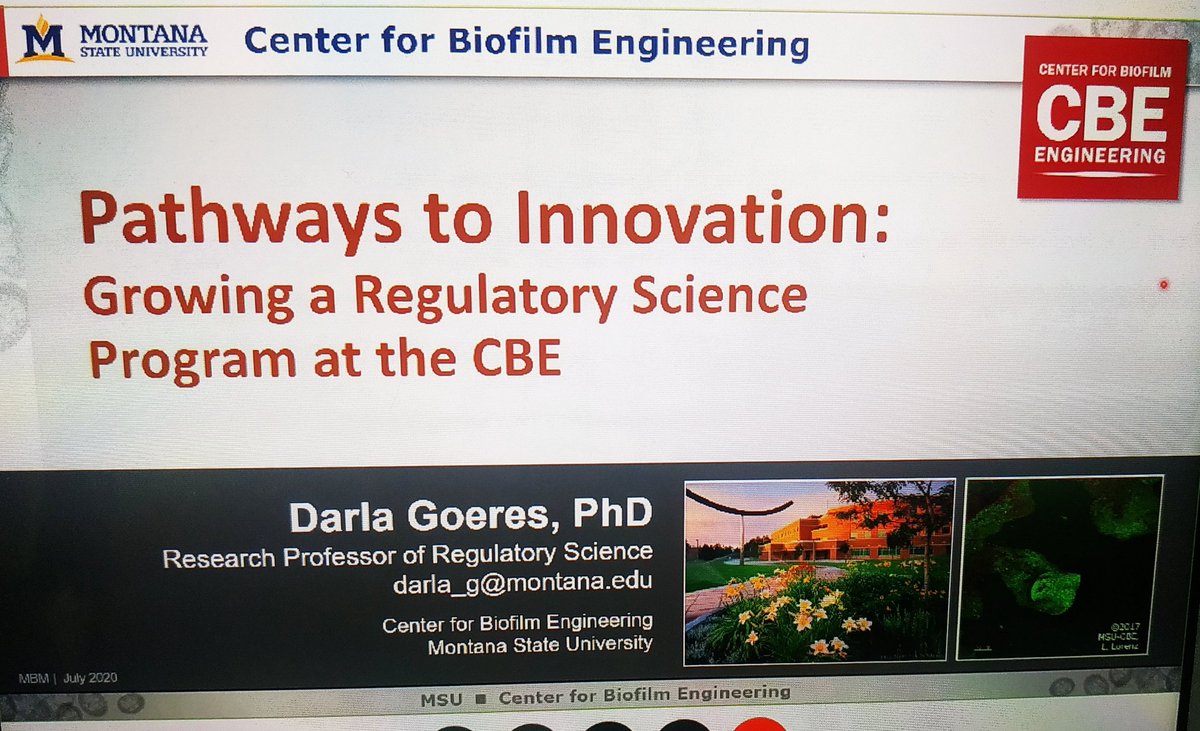 Atif_micro's tweet photo. Final session for today on research tools and methods in biofilm research.
@Center4Biofilm @ukbiofilms
#MBVM2020 #biofilms https://t.co/jWg7pJoP77