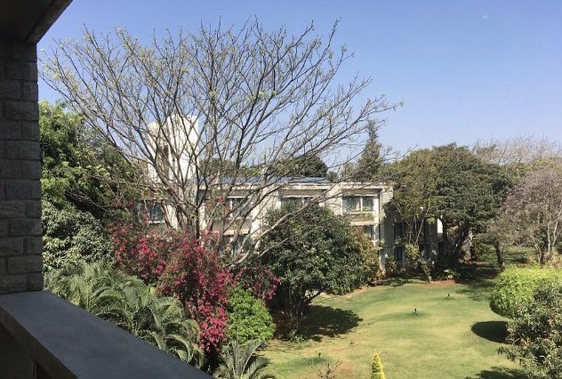 IIM_Bangalore's tweet photo. The beauty of the IIMB campus cannot be captured in a single frame.

#IIMB #IIMBangalore #ThePlaceToB #LifeAtIIMB #MBALife #StoneWalls #StoneWalledCampus https://t.co/Q2VmoVV9fw