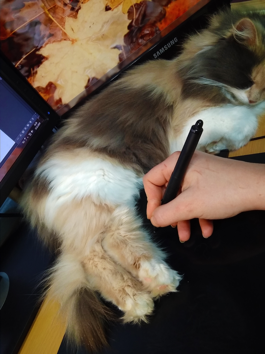InnaVjuzhanina's tweet photo. Super fun tag from my lovely @christinabindon ♥ 

Here are my fur butts - Marshmallow, Butterscotch and Ser Philip 💜 (he's just Philip, but on this photo I have the need to call him Ser 😂)

#PetTrain 🚂 Tag your friends!

Tagging @MelonieMac @JRMilward @KarlieneMusic ♥ https://t.co/BS3Kd3mu1F