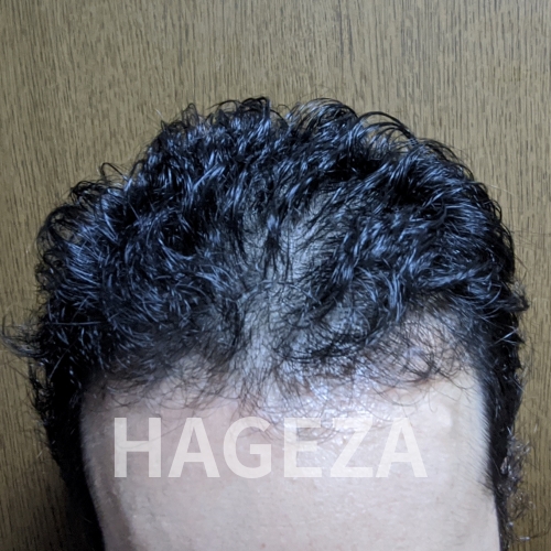 ハゲ座 Hageza1 Twitter