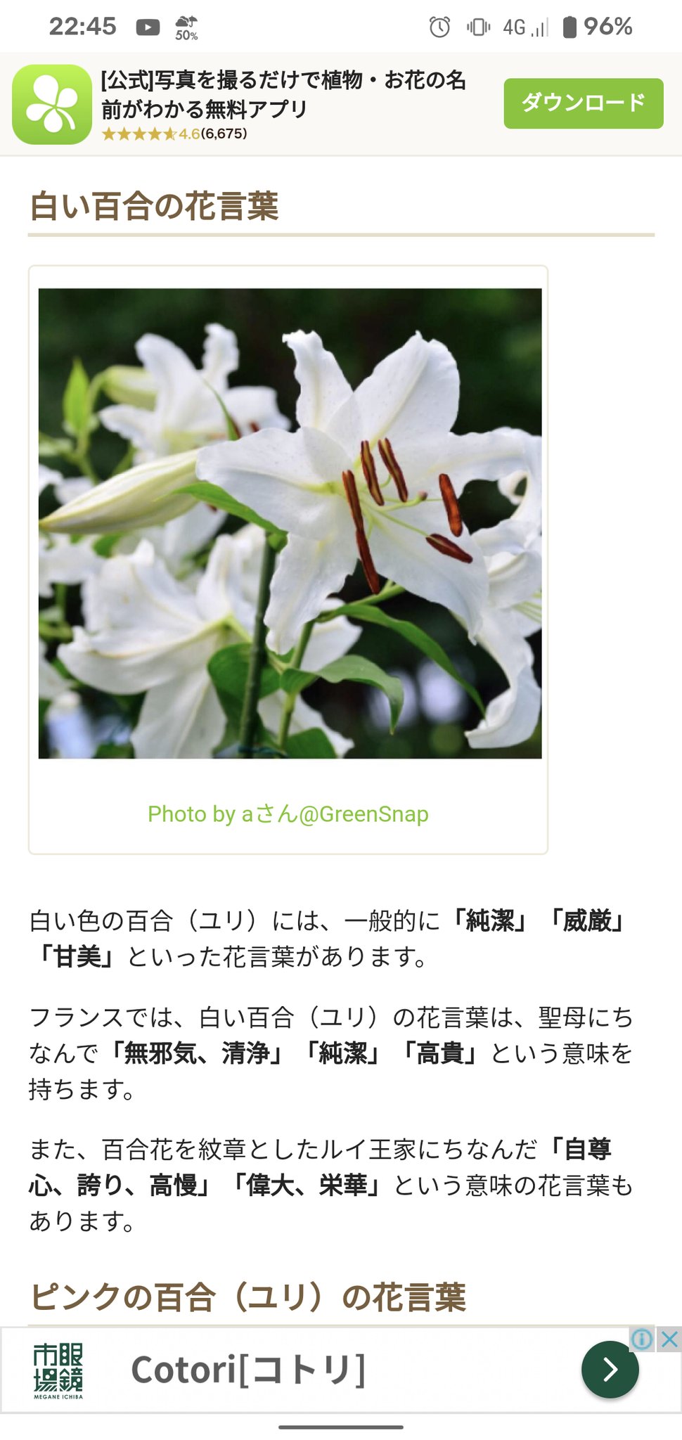 琴 西1スa委託 ガーベラ 希望 がマリーゴールド 絶望 へと変わりました そこで最初のopの 絶望は純潔と出会えるのだろうか の歌詞 絶望 はマリーゴールドのこと では 純潔 の花言葉をもつ花は T Co 6hjytytgim Twitter