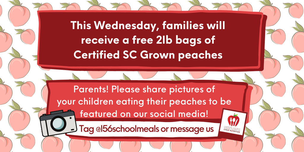 L56SchoolMeals's tweet photo. This Wednesday, friends! Pickup #certifiedSCgrown peaches 🍑🍑🍑 with 3️⃣ breakfasts and 3️⃣ lunches per child at Joanna-Woodson Elementary and Clinton High School between 11am-1pm.

@golaurens @cityofclinton @snaofsc @laurens_56 @clintonscalerts @goclinton @clintonsc #schoolmeals https://t.co/WBNWAR9TRo