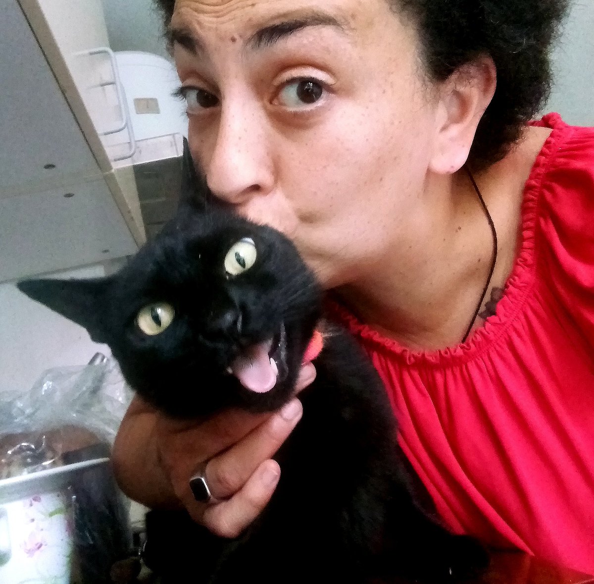 Sara_Zeneize's tweet photo. #madreeee non voglio esser baciato...
(traduzione da Miauuuuuumiauuuuuuuuu) https://t.co/TSDWywpDAm